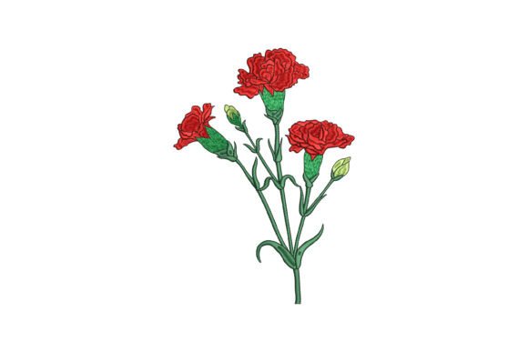 Red Carnation