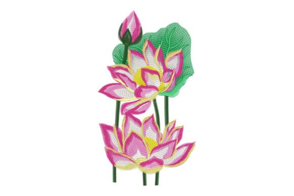Sacred Lotus Garden Review